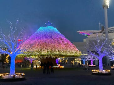 東京メガイルミに投稿された画像（2024/10/20）