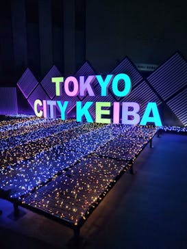 東京メガイルミに投稿された画像（2024/10/20）