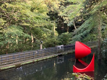 彫刻の森美術館に投稿された画像（2024/10/20）