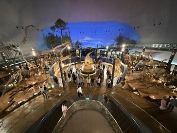 福井県立恐竜博物館に投稿された画像（2024/10/20）