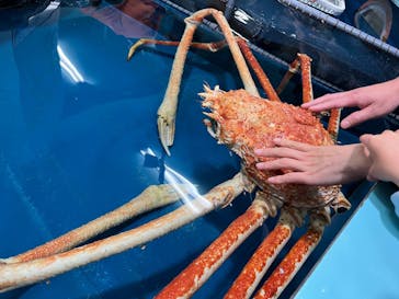 竹島水族館に投稿された画像（2024/10/20）
