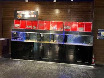 竹島水族館に投稿された画像（2024/10/20）