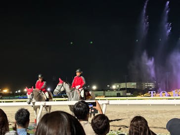東京メガイルミに投稿された画像（2024/10/20）