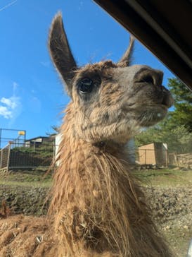 東北サファリパークに投稿された画像（2024/10/20）