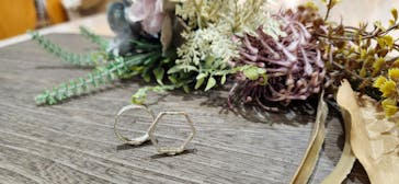 シーセンスに投稿された画像（2024/10/20）