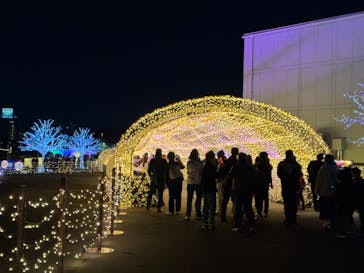 東京メガイルミに投稿された画像（2024/10/20）