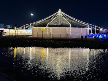 東京メガイルミに投稿された画像（2024/10/20）