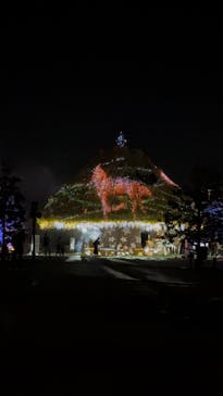 東京メガイルミに投稿された画像（2024/10/20）