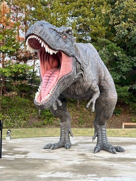 福井県立恐竜博物館に投稿された画像（2024/10/20）