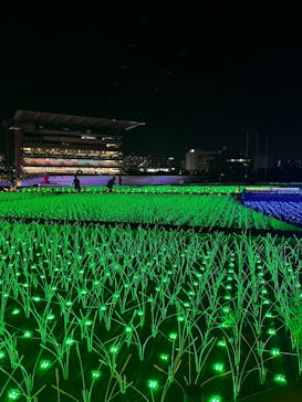東京メガイルミに投稿された画像（2024/10/20）