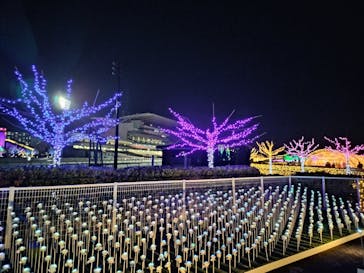 東京メガイルミに投稿された画像（2024/10/20）