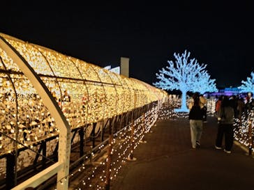 東京メガイルミに投稿された画像（2024/10/20）