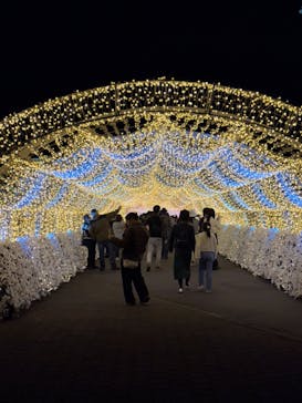 東京メガイルミに投稿された画像（2024/10/20）