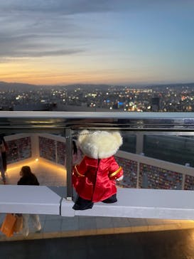 梅田スカイビル・空中庭園展望台に投稿された画像（2024/10/20）