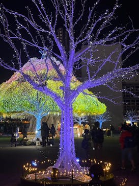 東京メガイルミに投稿された画像（2024/10/20）