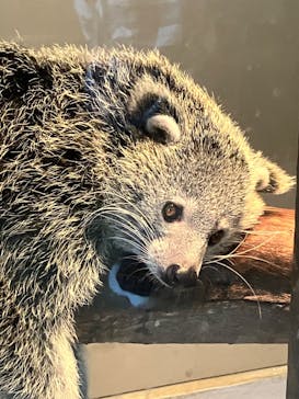 伊豆シャボテン動物公園に投稿された画像（2024/10/20）