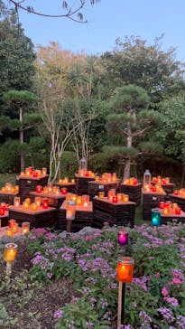 江の島シーキャンドルに投稿された画像（2024/10/20）