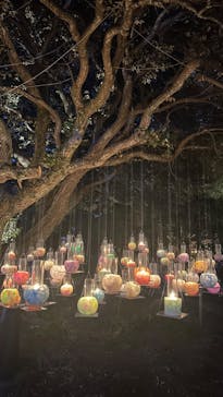 江の島シーキャンドルに投稿された画像（2024/10/20）