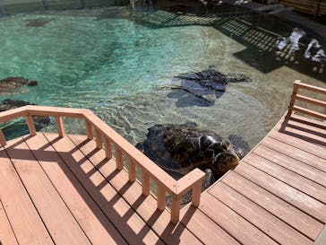 新江ノ島水族館に投稿された画像（2024/10/20）