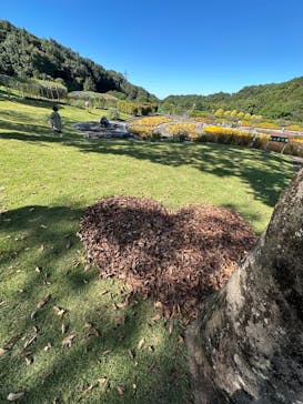 ぎふワールド・ローズガーデンに投稿された画像（2024/10/20）