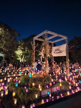 江の島シーキャンドルに投稿された画像（2024/10/20）