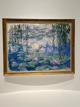 モネ 睡蓮のとき（国立西洋美術館）に投稿された画像（2024/10/20）