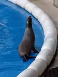 仙台うみの杜水族館に投稿された画像（2024/10/21）