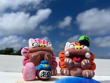 可愛いシーサー専門店 まいまいシーサーに投稿された画像（2024/10/20）