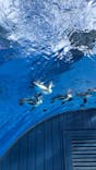 サンシャイン水族館に投稿された画像（2024/10/21）