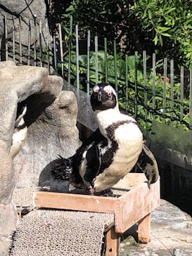 サンシャイン水族館に投稿された画像（2024/10/20）