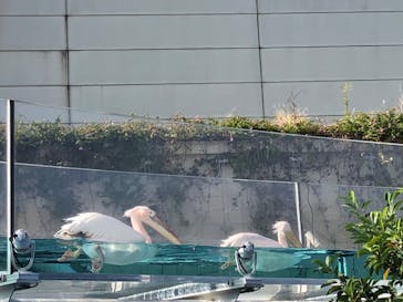 サンシャイン水族館に投稿された画像（2024/10/20）