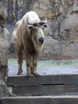 多摩動物公園に投稿された画像（2024/10/20）