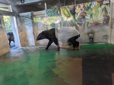 多摩動物公園に投稿された画像（2024/10/20）