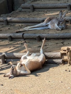 多摩動物公園に投稿された画像（2024/10/20）