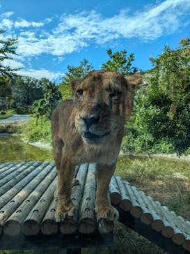 多摩動物公園に投稿された画像（2024/10/20）