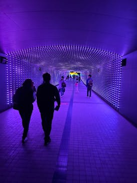 東京メガイルミに投稿された画像（2024/10/20）