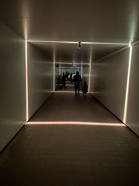 東京メガイルミに投稿された画像（2024/10/20）