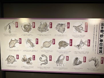 サンシャイン水族館に投稿された画像（2024/10/21）