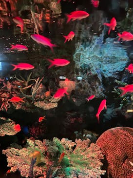 サンシャイン水族館に投稿された画像（2024/10/21）
