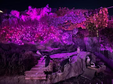 サンシャイン水族館に投稿された画像（2024/10/21）