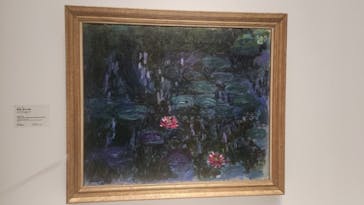 モネ 睡蓮のとき（国立西洋美術館）に投稿された画像（2024/10/21）