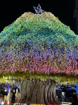 東京メガイルミに投稿された画像（2024/10/21）