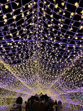 東京メガイルミに投稿された画像（2024/10/21）