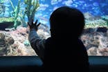 サンシャイン水族館に投稿された画像（2024/10/21）