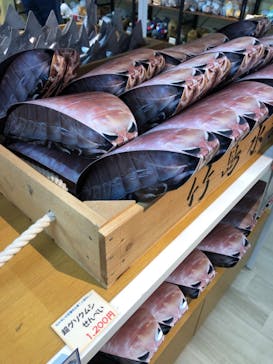 竹島水族館に投稿された画像（2024/10/21）