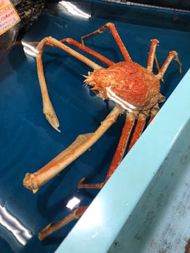 竹島水族館に投稿された画像（2024/10/21）