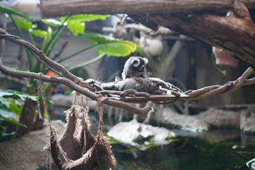 那須どうぶつ王国に投稿された画像（2024/10/21）