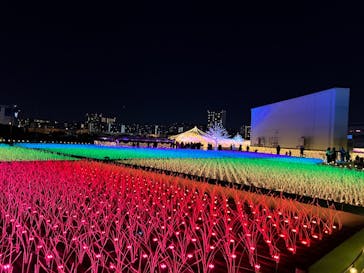 東京メガイルミに投稿された画像（2024/10/21）