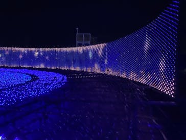 東京メガイルミに投稿された画像（2024/10/21）