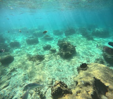 沖縄マリンサービス碧に投稿された画像（2024/10/21）